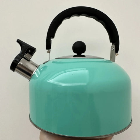 Stainless Steel Kettle Household 3L Portable Stove Gas Universal Whistle Tea Kettle Quick Hot Water Kettle with Ergonomic Handle