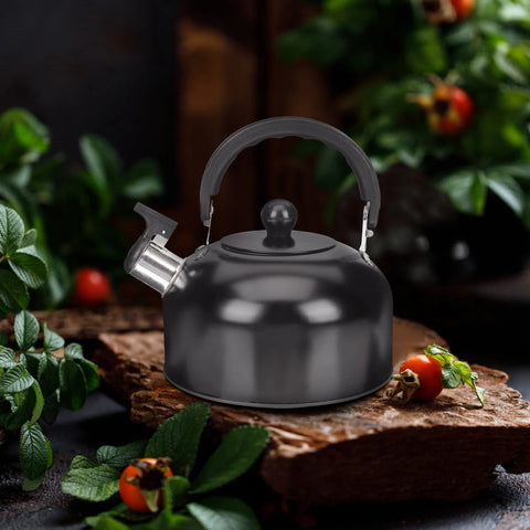 Tea Kettle with Infuser Whistle Whistles Electric Stovetop Teapot Handle Black Travel